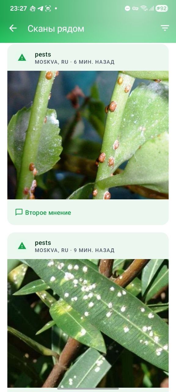 Сканы рядом — лента сообщества