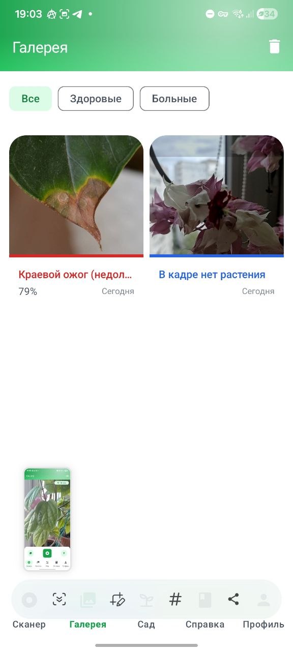 Галерея сканов с фильтром
