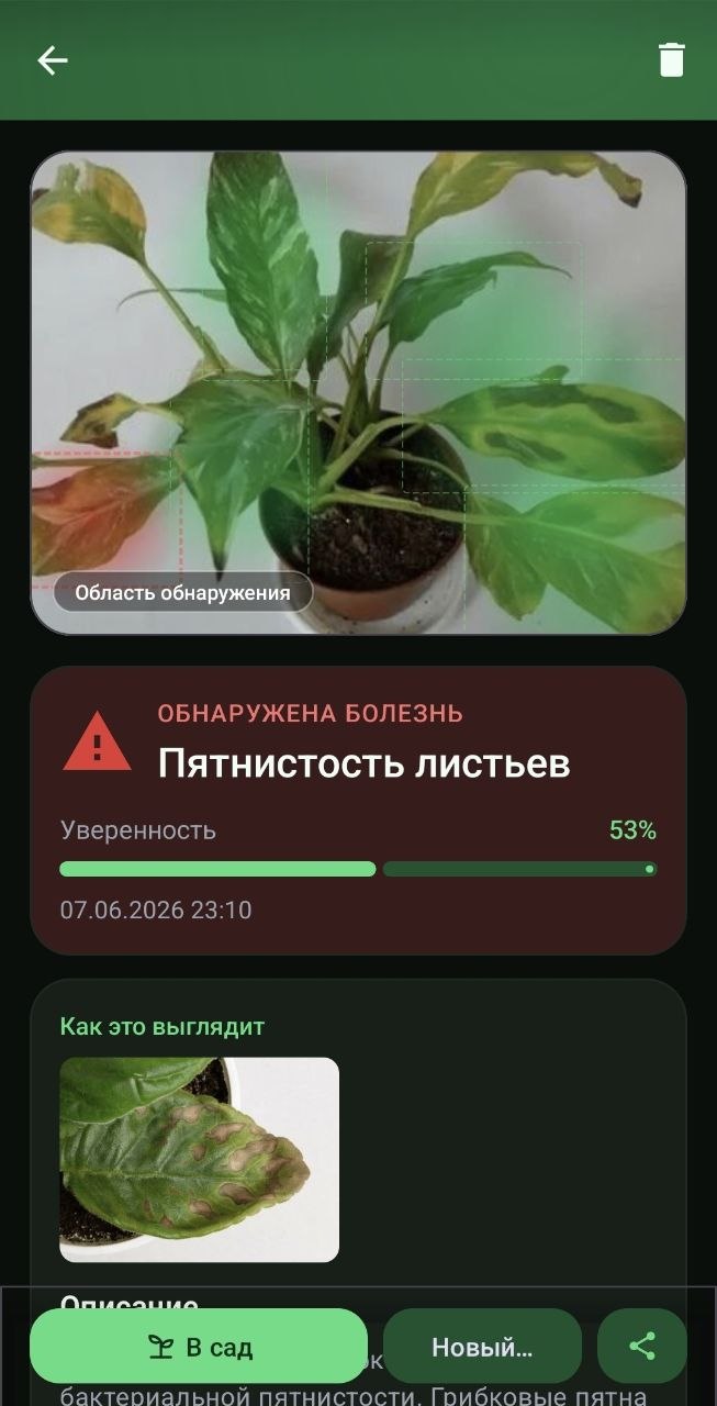Диагноз: пятнистость листьев