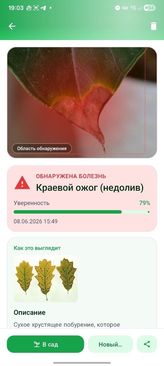 Экран результата диагностики